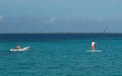 windsurf.jpg (35473 bytes)