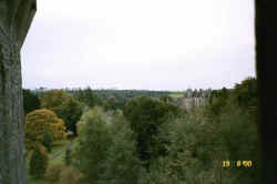 17199_24.jpg (32257 bytes)