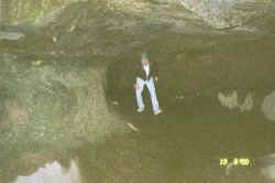 17199_26.jpg (42916 bytes)