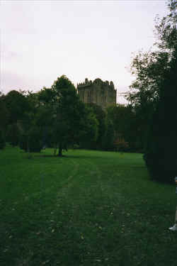 37401621.jpg (42726 bytes)