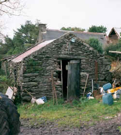 shed.jpg (60613 bytes)